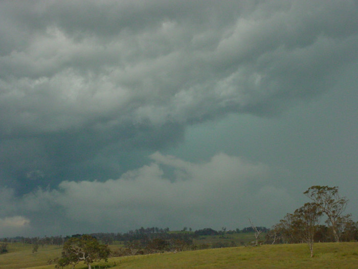 Taken by Jason Rainforest