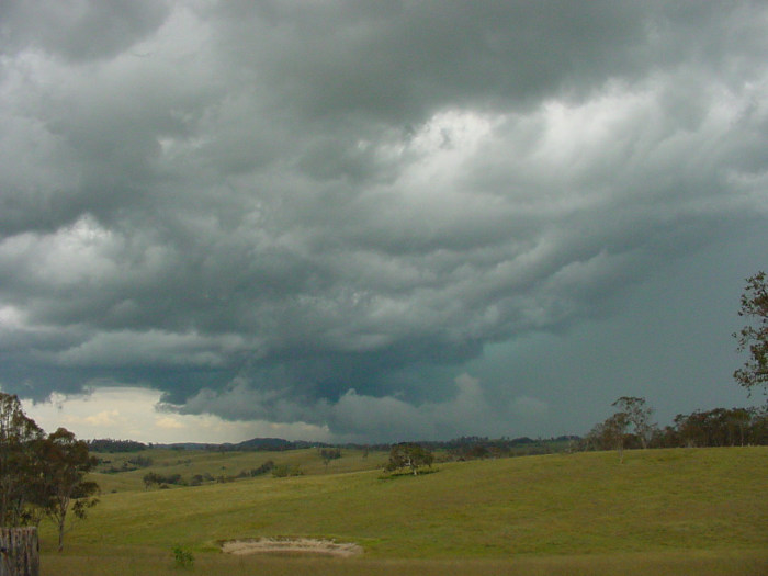 Taken by Jason Rainforest