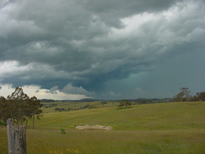 Taken by Jason Rainforest