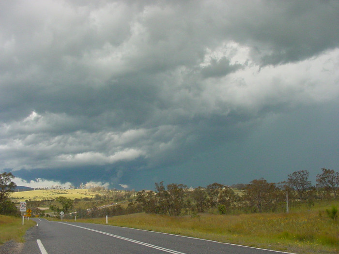 Taken by Jason Rainforest