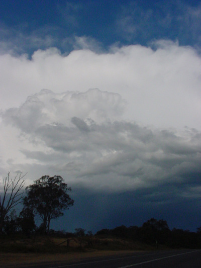 Taken by Jason Rainforest