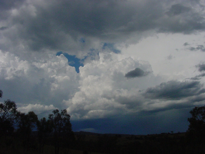 Taken by Jason Rainforest