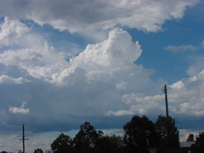 Taken by Jason Rainforest