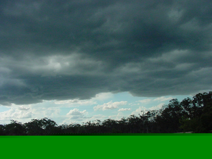 Taken by Jason Rainforest