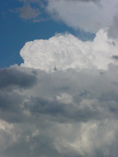 Taken by Jason Rainforest