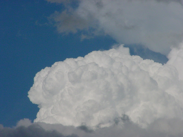 Taken by Jason Rainforest