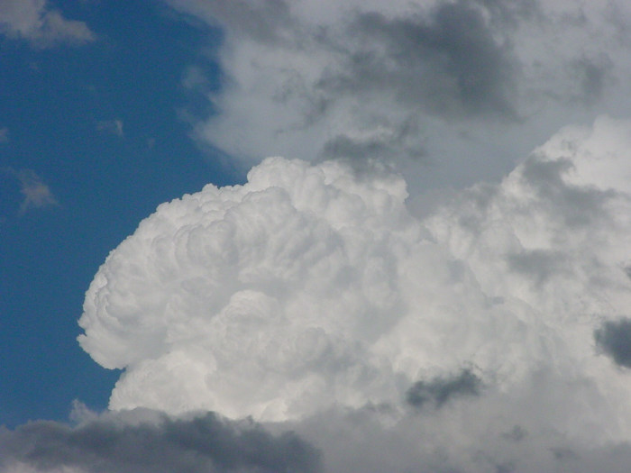 Photo  Jason Rainforest