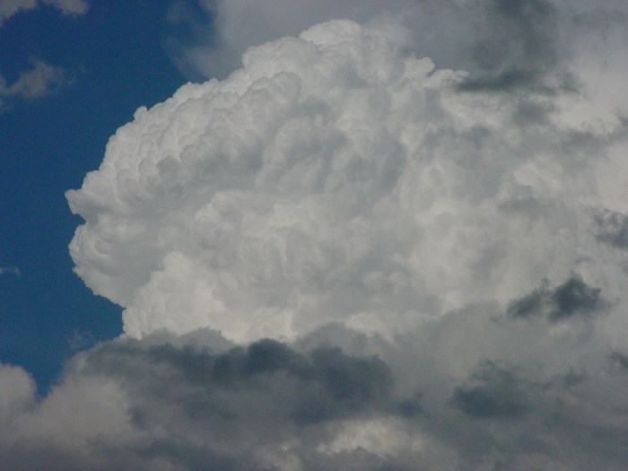 Photo  Jason Rainforest