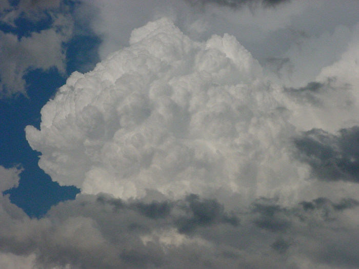 Photo  Jason Rainforest