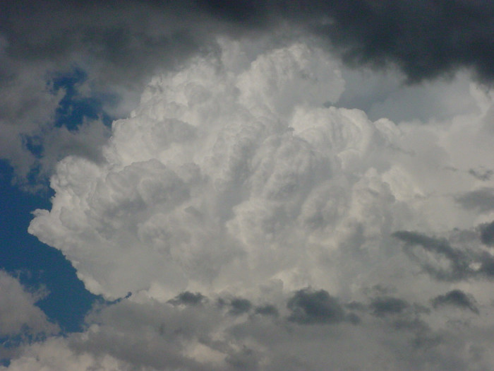 Photo  Jason Rainforest