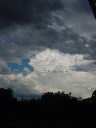 Taken by Jason Rainforest