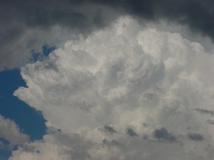 Taken by Jason Rainforest