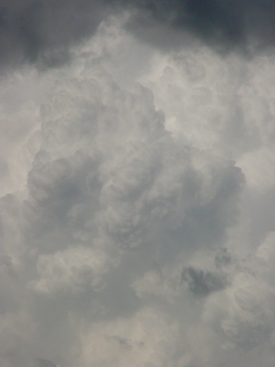 Taken by Jason Rainforest