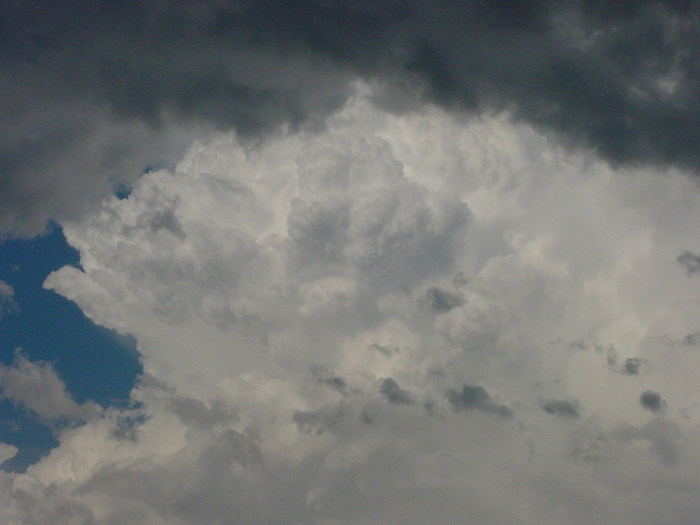 Taken by Jason Rainforest