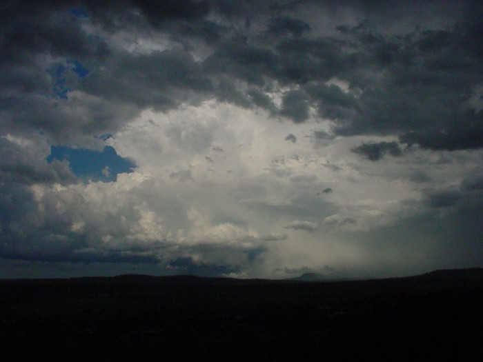 Photo  Jason Rainforest