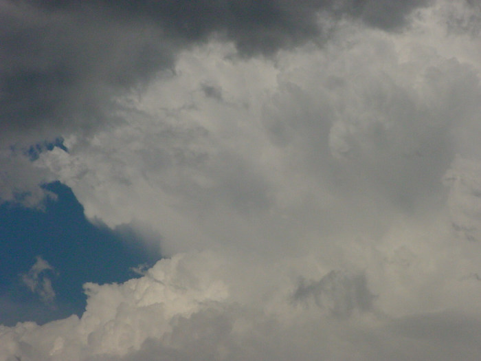 Taken by Jason Rainforest