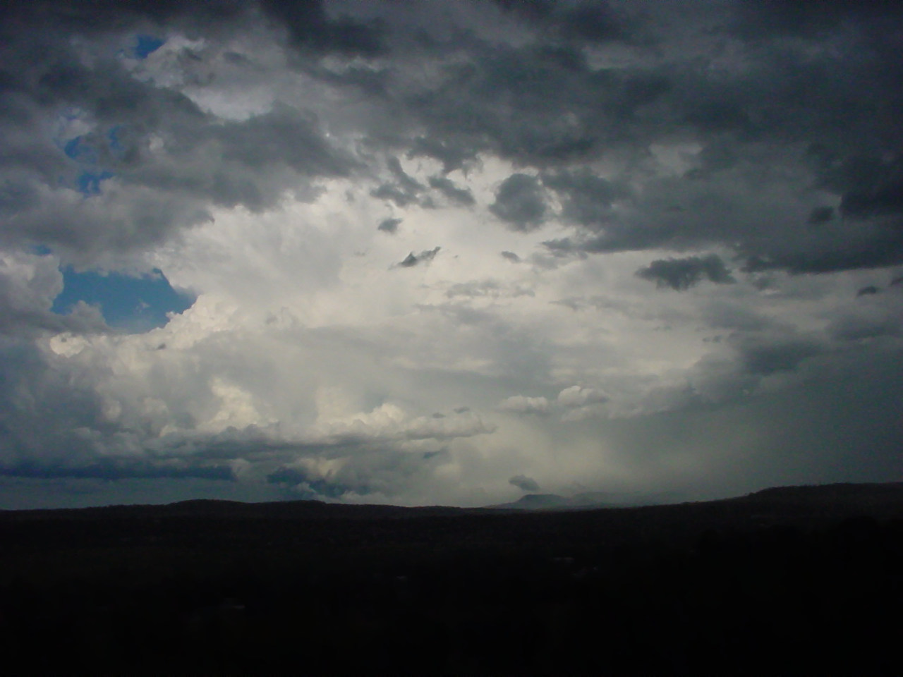 Taken by Jason Rainforest