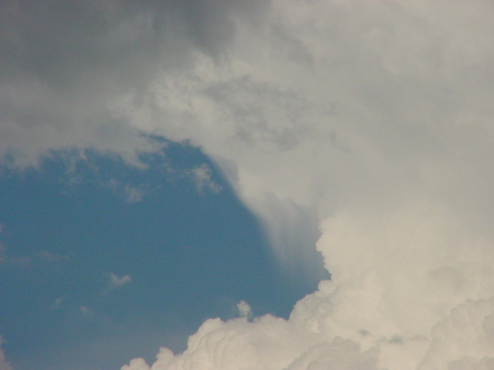 Photo  Jason Rainforest