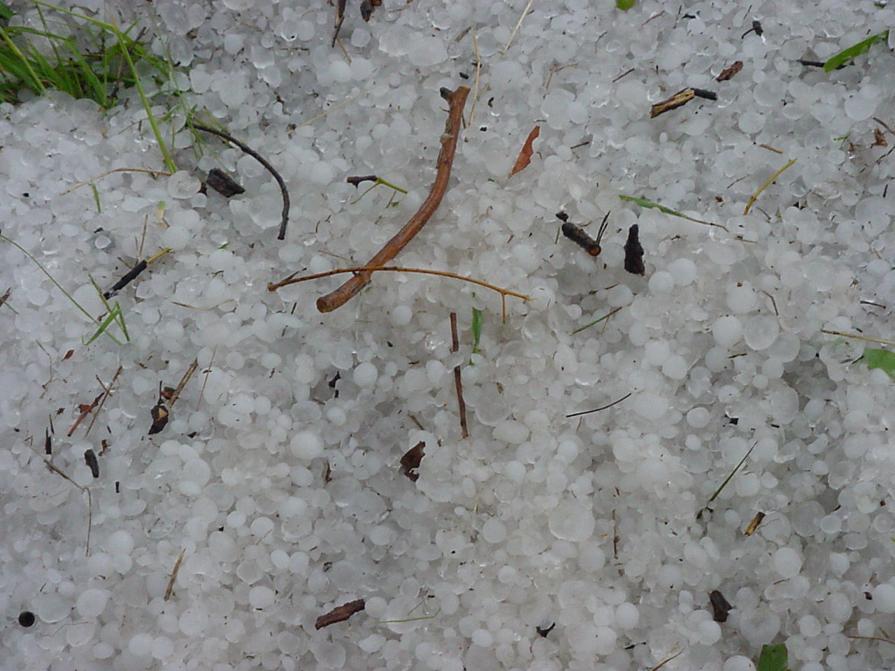 Photo  Jason Rainforest