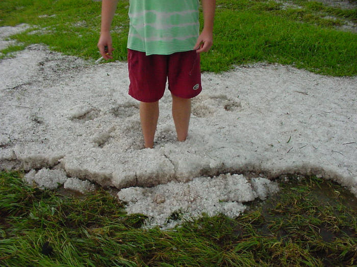 Photo  Jason Rainforest