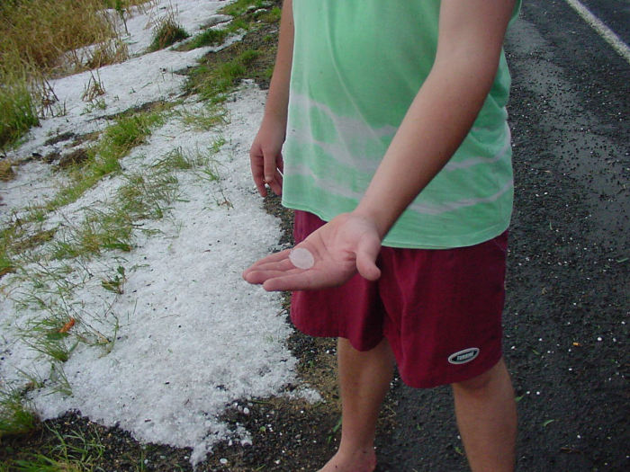 Photo  Jason Rainforest