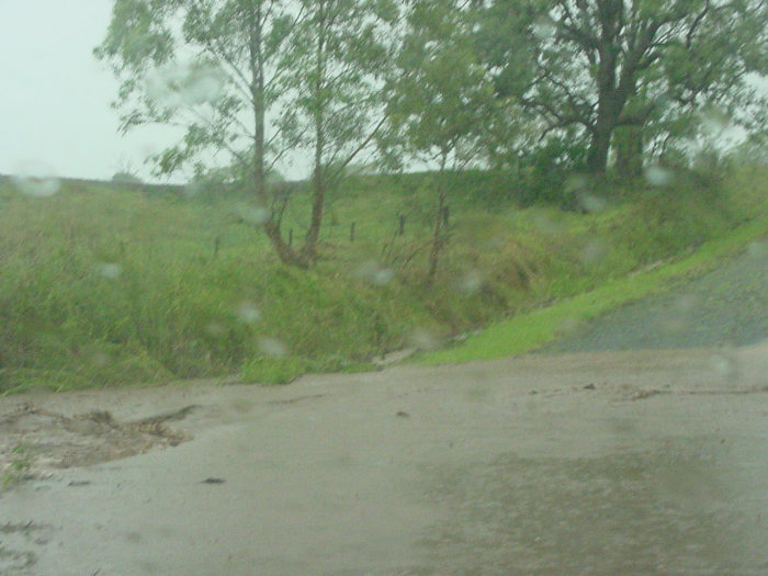 Photo  Jason Rainforest