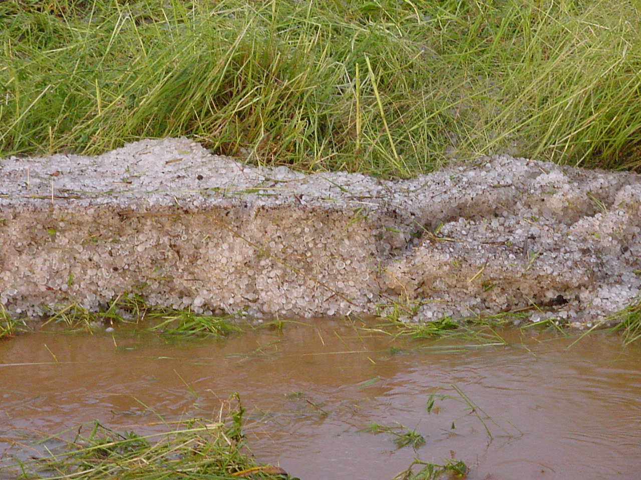 Taken by Jason Rainforest