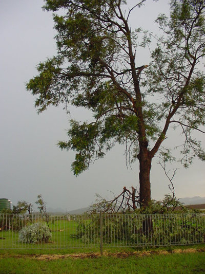 Taken by Jason Rainforest