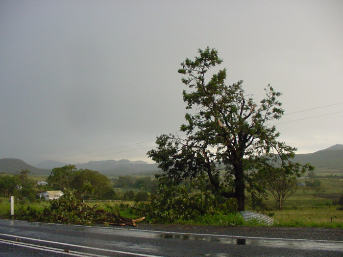 Photo  Jason Rainforest