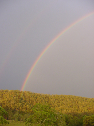 Photo  Jason Rainforest