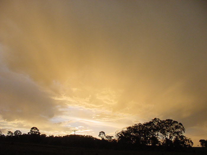 Taken by Jason Rainforest