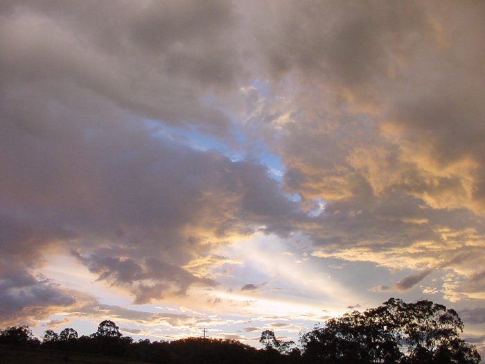 Photo  Jason Rainforest