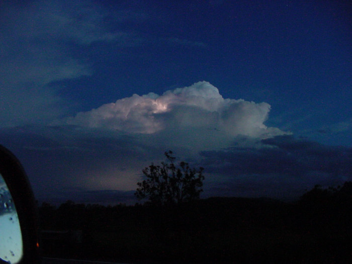 Photo  Jason Rainforest