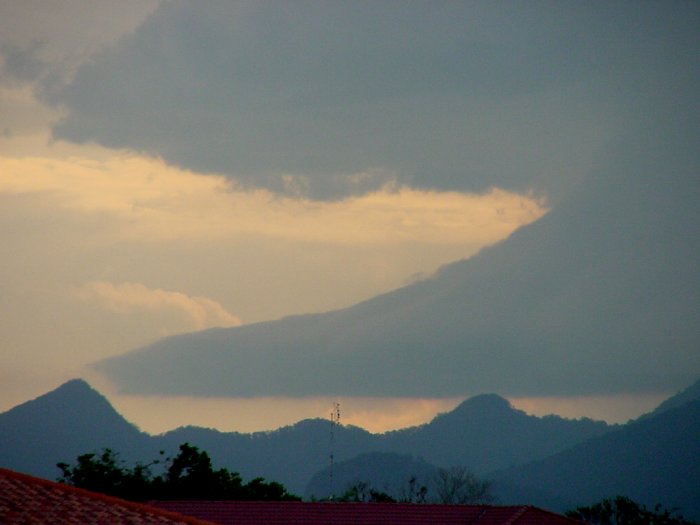 Photo  Jason Rainforest