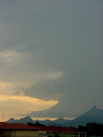 Taken by Jason Rainforest