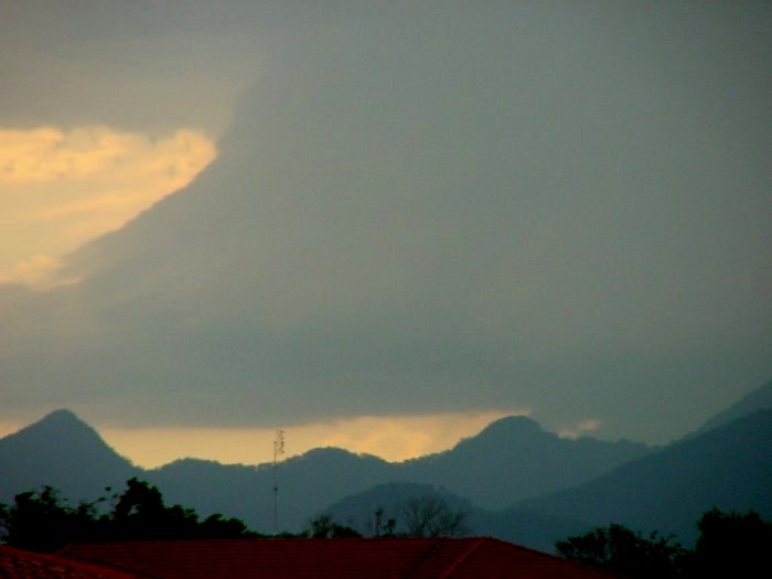 Photo  Jason Rainforest