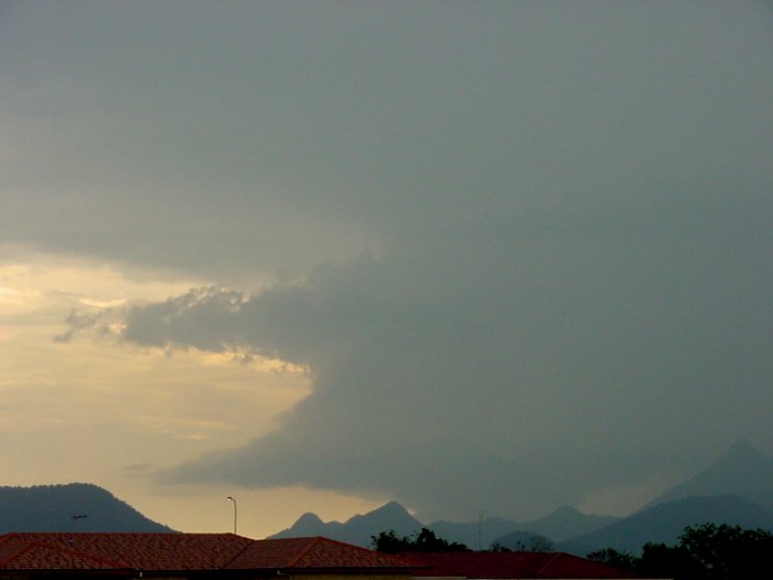 Photo  Jason Rainforest