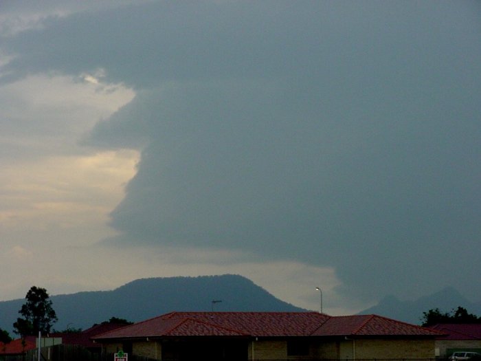 Taken by Jason Rainforest