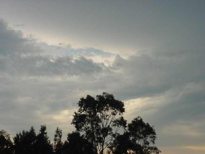 Photo  Jason Rainforest