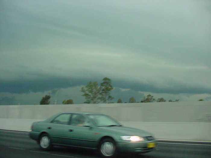 Taken by Jason Rainforest