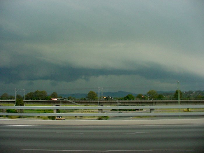 Taken by Jason Rainforest