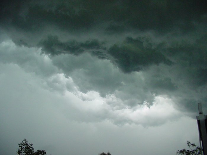 Taken by Jason Rainforest