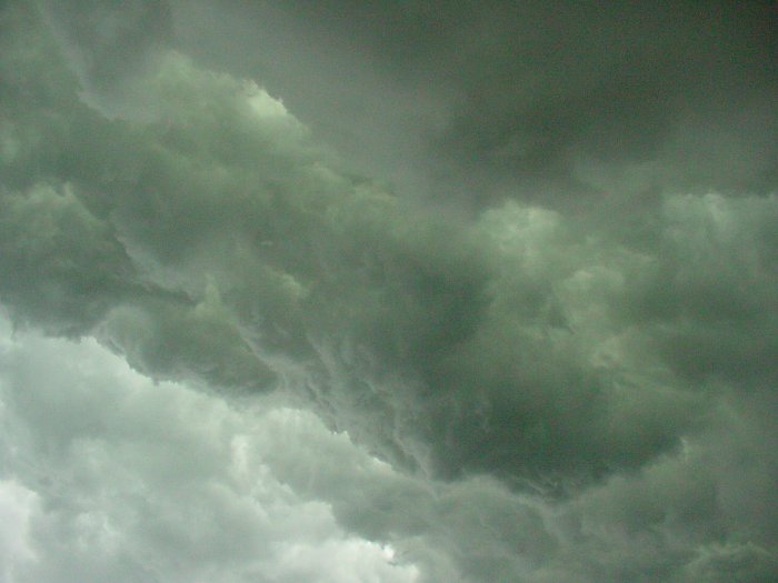 Taken by Jason Rainforest