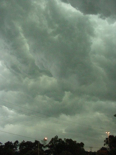 Taken by Jason Rainforest