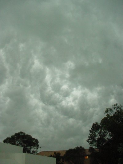 Taken by Jason Rainforest