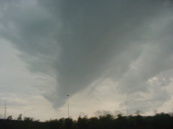 Taken by Jason Rainforest