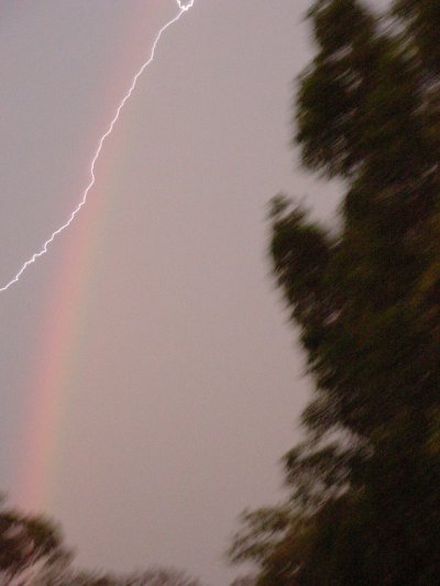 Photo  Jason Rainforest