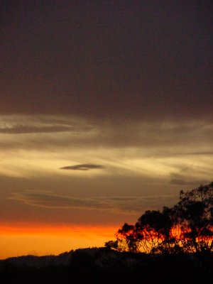 Photo  Jason Rainforest