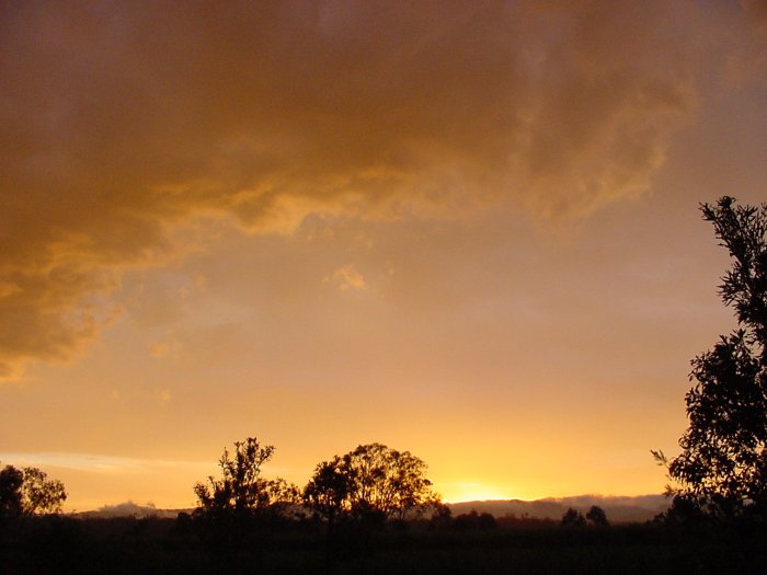 Photo  Jason Rainforest