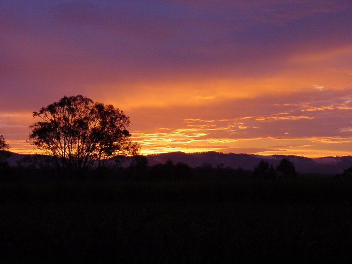 Photo  Jason Rainforest